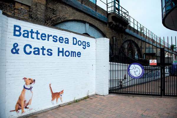 Battersea Dogs And Cats Home Front Gates