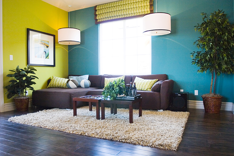 Living Room With Cream Rug