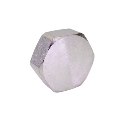3/4" Manifold Blanking Cap