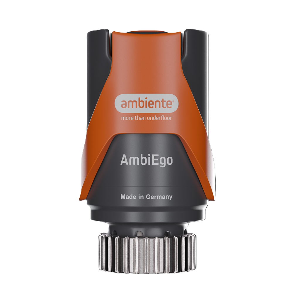 AmbiEgo®